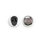 Florida Skull Button - Carribbean Connection
